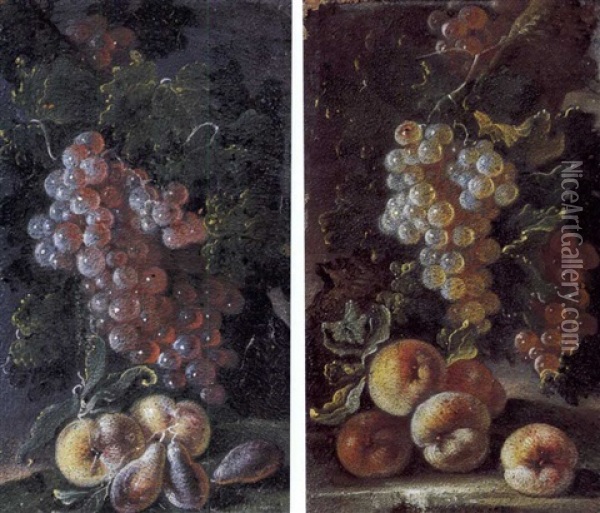 Uva Nera, Pesche E Prugne (+ Uva Bianca E Pesche; 2 Works) Oil Painting - Bartolomeo Castelli the Younger