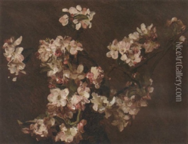 Apple Blossom Oil Painting - Sir George Clausen