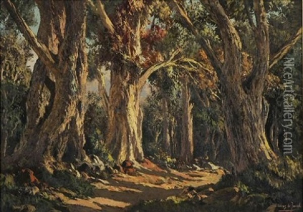 Knysna Forest Oil Painting - Tinus de Jongh