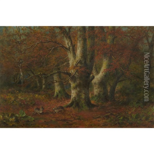 Forest Interior With Rabbits Oil Painting - Frederick Arthur Verner