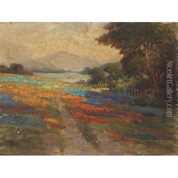 Wildflowers On The Hills Oil Painting - Arthur William Best