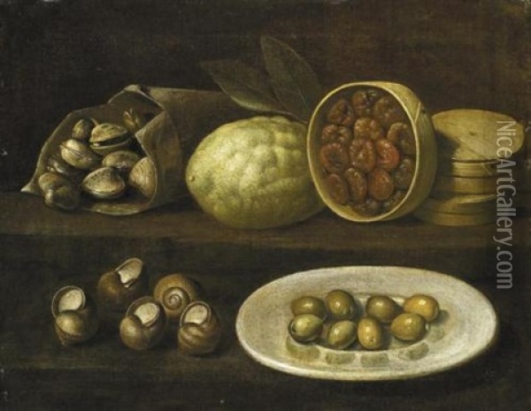 Natura Morta Con Conchiglie, Olive, Limone E Fichi Secchi Oil Painting - Paolo Antonio Barbieri