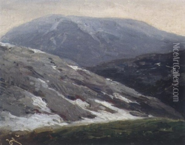 Gletscherauslauf Oil Painting - Karl Franz Emanuel Haunold