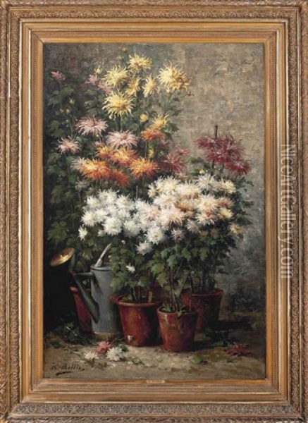 Chrysanthemums Potted In The Garden Oil Painting - Hubert Bellis