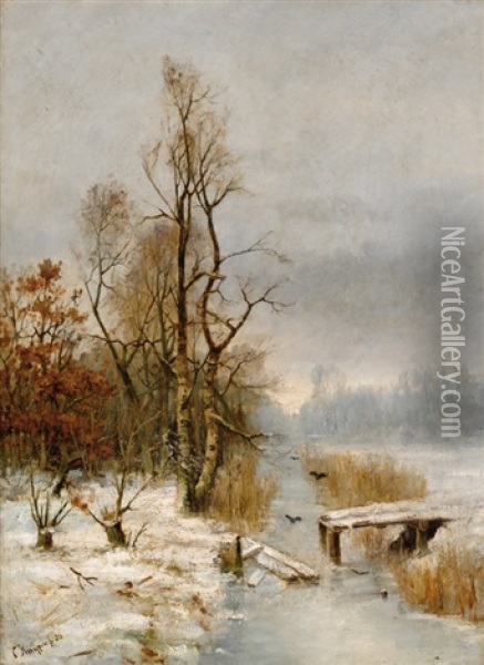 Winter Landscape With Birch Trees Oil Painting - Cornelis Kuypers