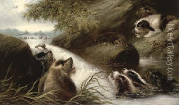 The Cornered Otter Oil Painting - Edward Armfield