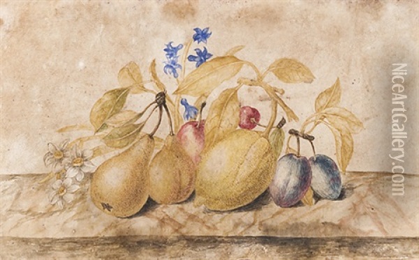 Susine, Ciliege, Pere E Altri Frutti Su Un Piano Di Pietra Oil Painting - Octavianus Monfort