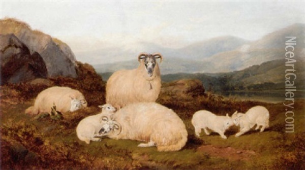 Ewes And Lambs In A Highland Landscape Oil Painting - George Shalders
