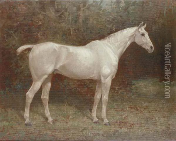 Launcelot, A Grey Horse Oil Painting - William Josiah Redworth