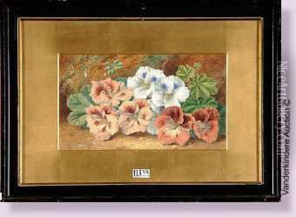 gerbe De Fleurs Oil Painting - Thomas Collier