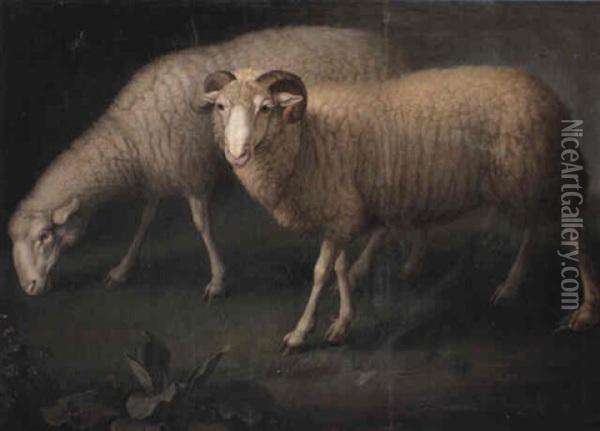 A Ram And Sheep Oil Painting - Wenceslaus (Wenzel) Peter