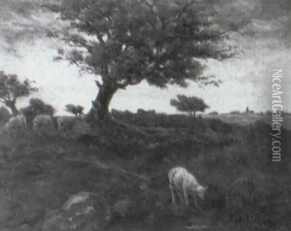 Sheep Grazing At Sunset Oil Painting - Taco Mesdag