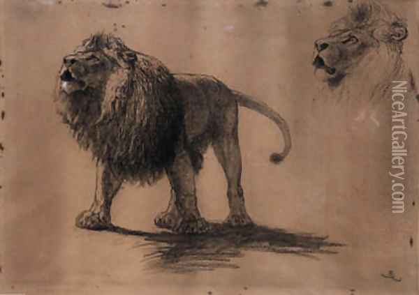 Lion Studies Oil Painting - Briton Riviere