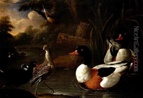 A Landscape With Ducks Oil Painting - Charles Collins