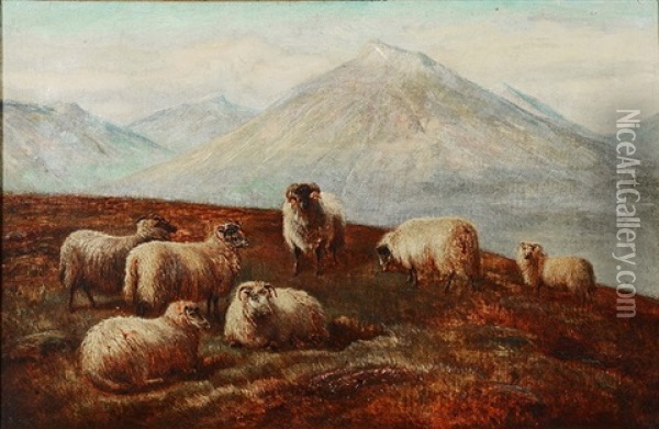 Mountain Landscape With Sheep Oil Painting - Charles Jones