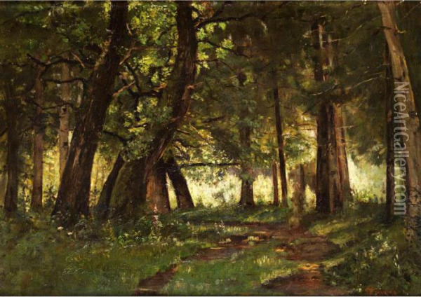 Waldinneres Mit Bachlauf Oil Painting - Federico Rossano