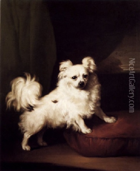 Her Favourite - A Portrait Of A White Papillon Oil Painting - Henry Bernard Chalon