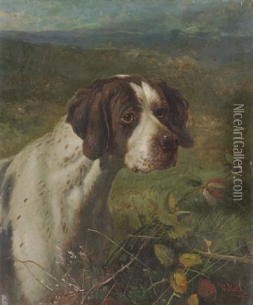 A Pointer In A Moorland Landscape Oil Painting - George Earl