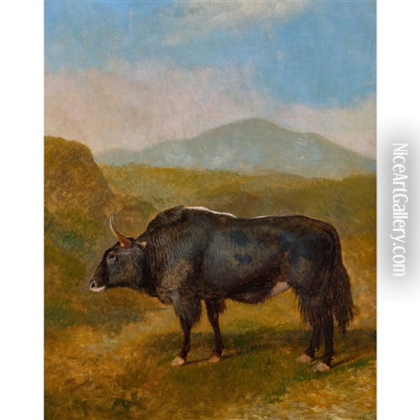 Buffle Dans Un Paysage Montagneux Oil Painting - Jacques-Laurent Agasse