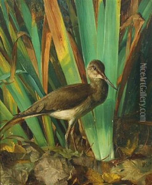 A Female Ruff Oil Painting - Niels Peter Rasmussen