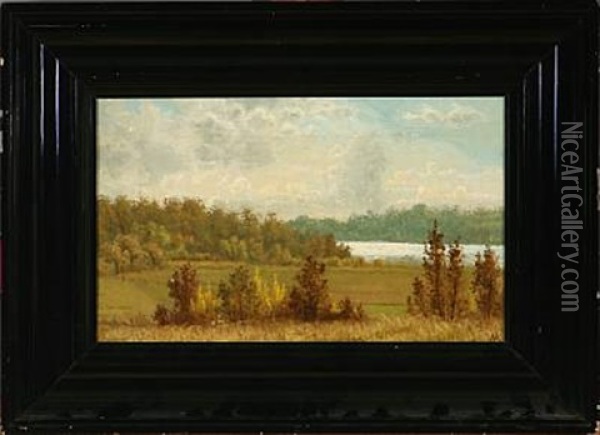 Efteraarslandskab Ved Silkeborg Oil Painting - Vilhelm Peter Karl Kyhn