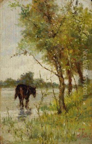 Paesaggio Con Cavallo Oil Painting - Giovanni Fattori