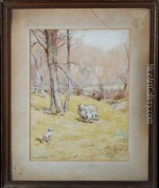 Sheep In A Meadow Oil Painting - James Edgar Mitchell