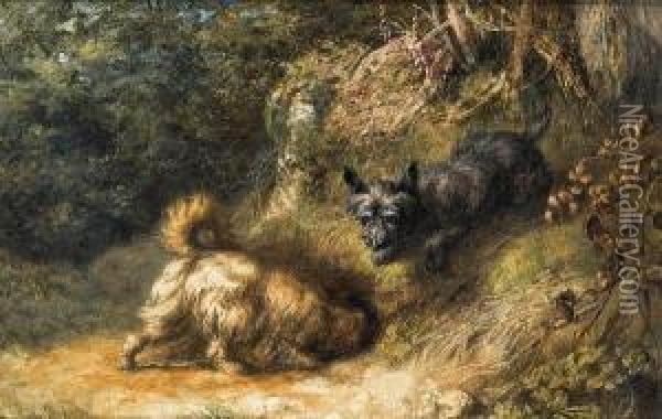 Terriers At Work Oil Painting - Briton Riviere