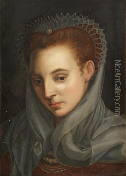 Head Of A Woman Oil Painting - Frans Floris the Elder