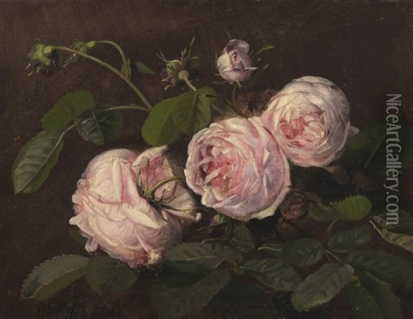 Still Life With Pink Roses Oil Painting - Olaf August Hermansen