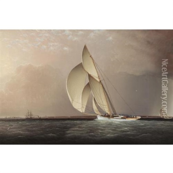 Yachts Racing Off Sandy Hook Oil Painting - James Edward Buttersworth