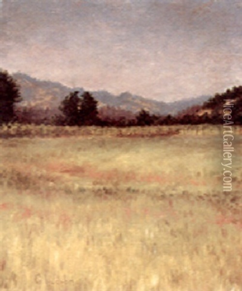 Redwood Valley Oil Painting - Grace Carpenter Hudson