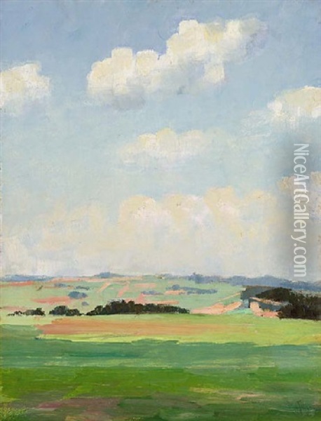 Oberbayrische Sommerlandschaft Oil Painting - Max Tresenreiter