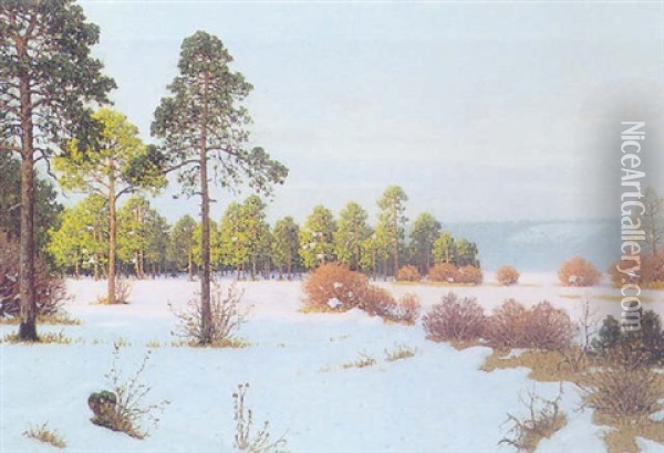 Winterlandschaft Oil Painting - Fritz Mueller-Landeck