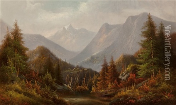 View Of The Mountain Oil Painting - Peter Hanson