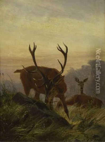 Hirsch Mit Rehen In Der Dammerung Oil Painting - Carl Friedrich Deiker