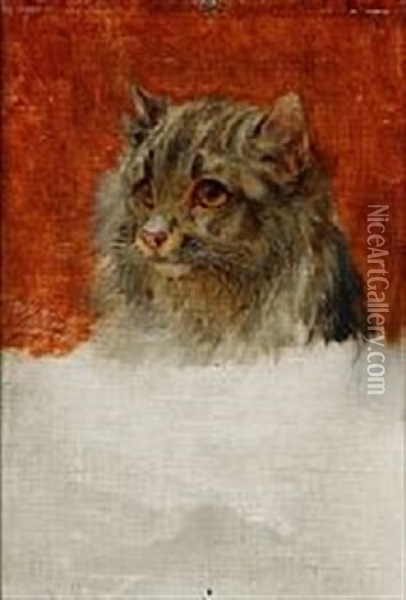 A Cat Oil Painting - William Henry Hamilton Trood