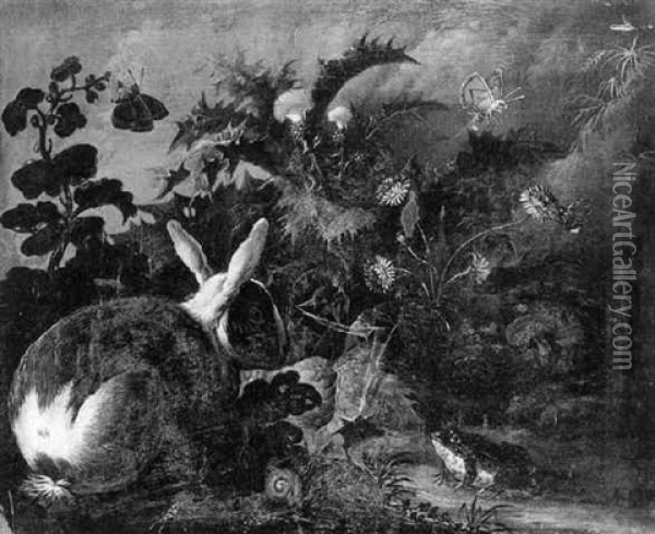 Nature Morte De Sous-bois Avec Un Lapin Oil Painting - Franz Michael Sigmund von Purgau