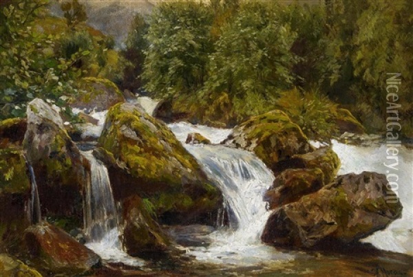Wildwasser Im Risengebirge Oil Painting - Walter Moras