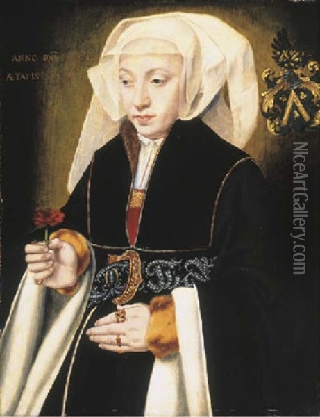 Portrait Of Maria Pastoir In A Black Dress And White Headdress With A Jewelled Belt, A Pink In Her Right Hand Oil Painting - Bartholomaeus Bruyn the Elder