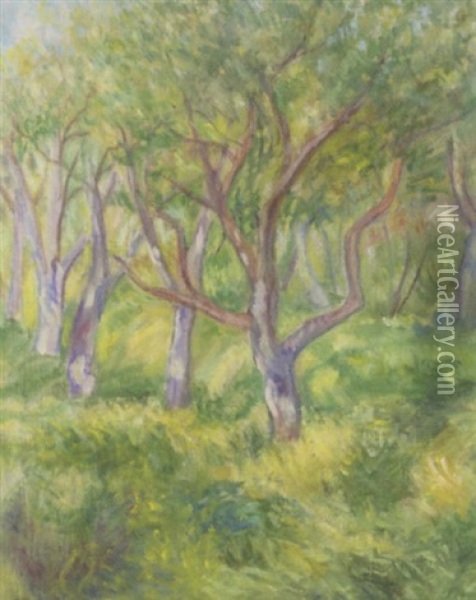Trees Oil Painting - David Shterenberg