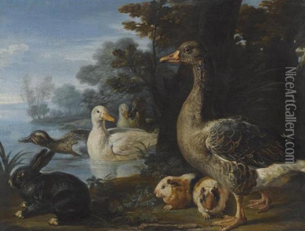 A Cockerel, Hens, Doves And A Parrot In A Formal Garden Setting Oil Painting - David de Coninck