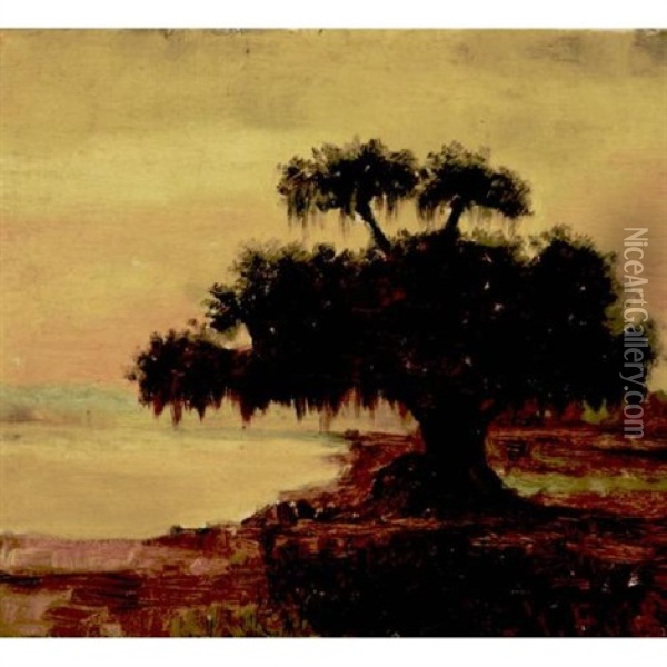 Live Oak With Spanish Moss, Lake Ponchatrain, Louisiana Oil Painting - William Henry Buck