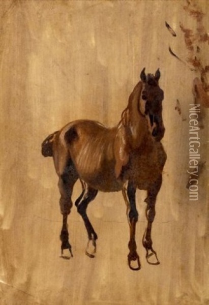 Cheval (study) Oil Painting - Jean Voltaire Huber