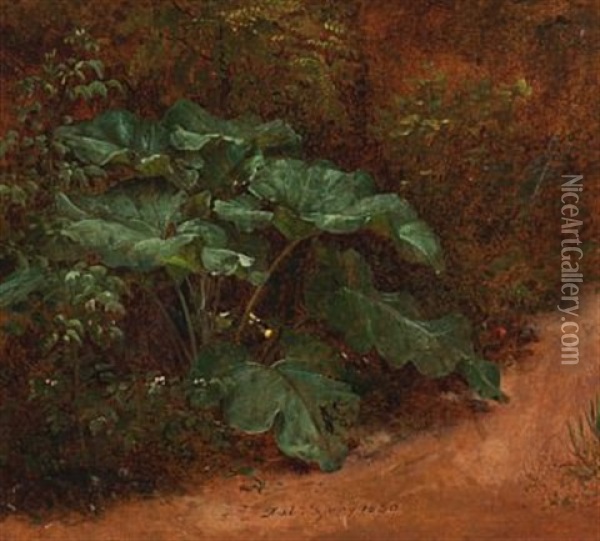 Botanisk Studie Oil Painting - Johan Christian Dahl
