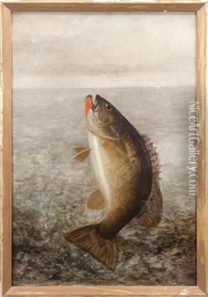 Small Mouth Bass Oil Painting - Richard La Barre Goodwin