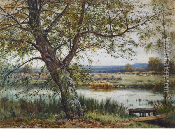 Sheep Grazing By The River Oil Painting - James Edward Grace