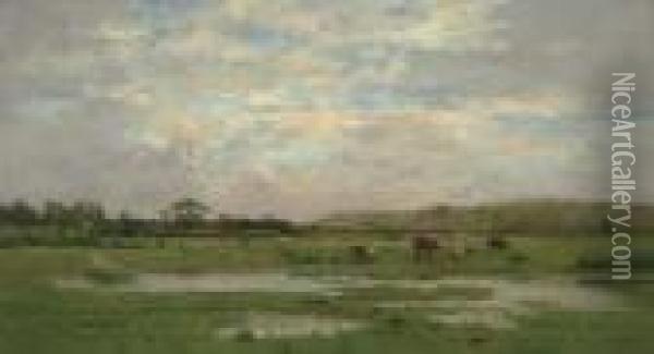 Prairies Inondees, Pas De Calais Oil Painting - Pierre-Emmanuel Damoye