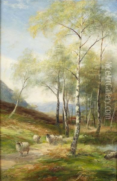 Stragglers In The Birch Woods, Aviemore Oil Painting - John MacWhirter