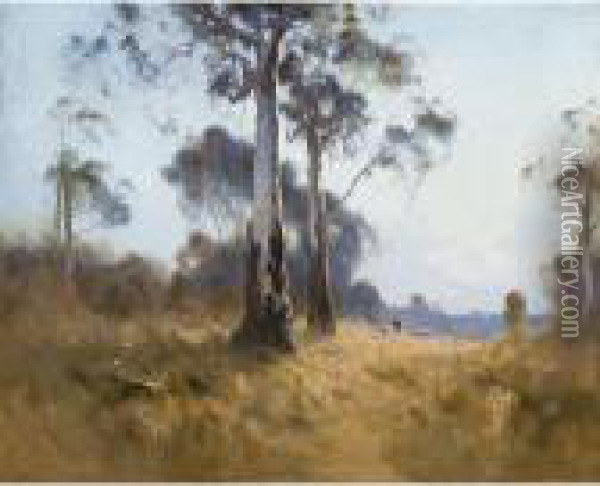 Ghost Gum At Kangaroo Flat Oil Painting - Theodore Penleigh Boyd